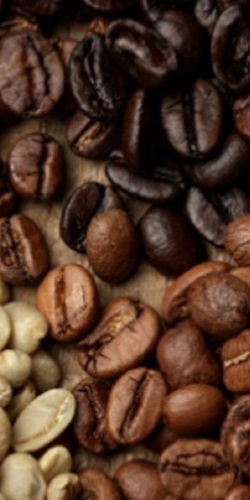 Buscan impulsar la producción de café en Salta