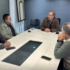 Acciones prioritarias de intendentes