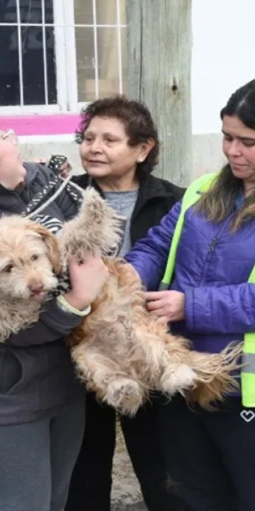 Vacunación antirrábica: Desde mañana en  Bº Sanidad