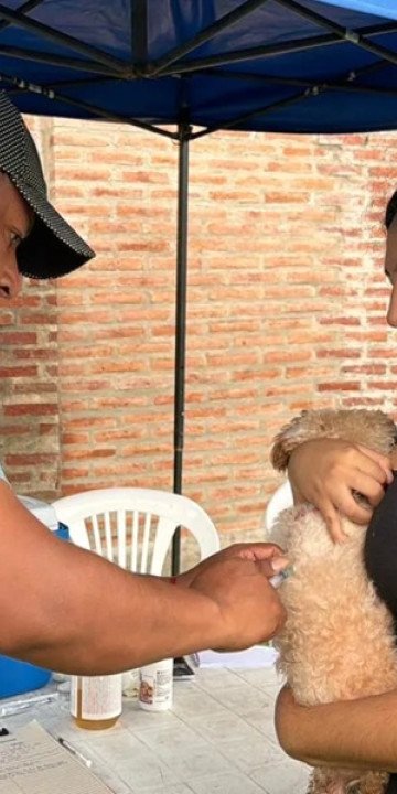 Vacunación antirrábica en diversos barrios de la ciudad