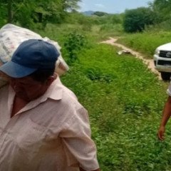 Continúa el Programa Focalizado en el departamento San Martín