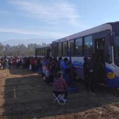 Cobertura de Saeta por Sumalao