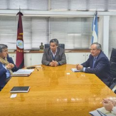 Salta y Finlandia exploran oportunidades de inversión