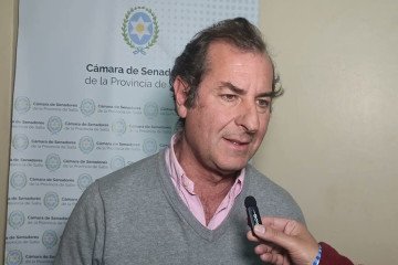 Buscan proteger la producción de banana
