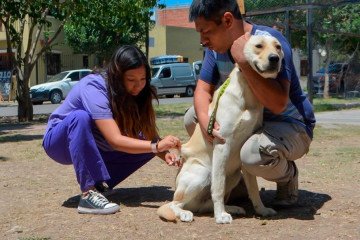 Cronograma de vacunación antirrábica en los barrios