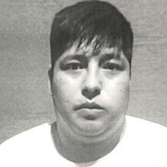 Salvador Mazza: piden captura internacional de un sospechoso por el robo de una camioneta