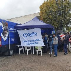 Móvil de Castración: 18 y 19 de febrero en Bº Palermo 1