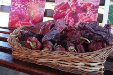 Fiesta Provincial del Pimiento en Payogasta