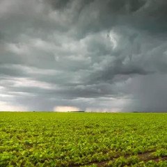 El Niño cómo impactará en la economía