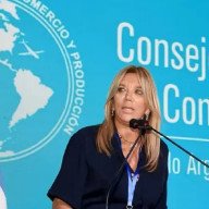 Bulgheroni presidenta de la OEA