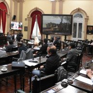 Plenario en el Senado con Legisladores nacionales
