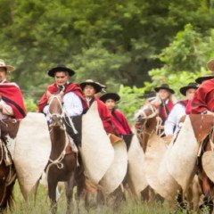 El jueves se presentará el Calendario Güemesiano 2026