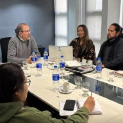 Exlotes fiscales 55 y 14: controles para evitar la tala ilegal
