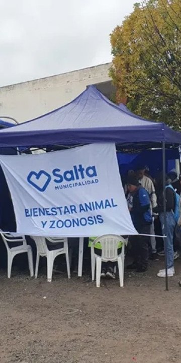 Móvil de Castración: Desde mañana en Bº Palermo 1