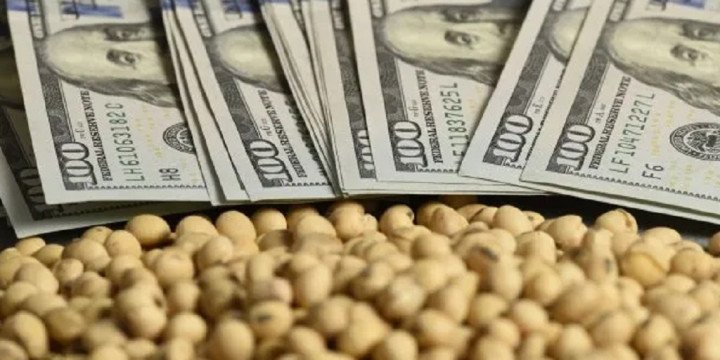 Los futuros de soja tocaron máximos 