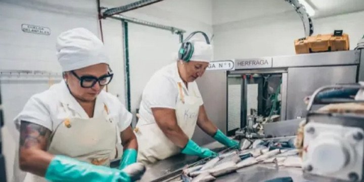 Se fortalece la producción de la pesca