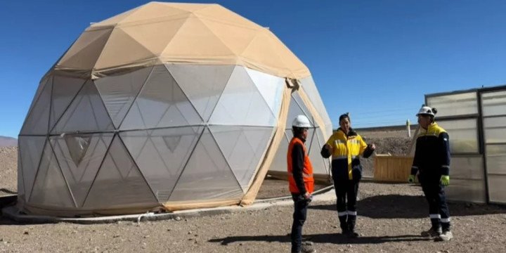 El proyecto Rincón tiene un banco de semillas