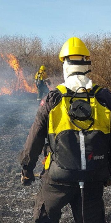 Alerta por incendios forestales en la ciudad