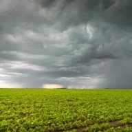 El Niño cómo impactará en la economía