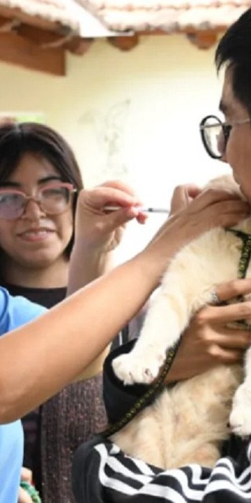 Cronograma de vacunación antirrábica de esta semana
