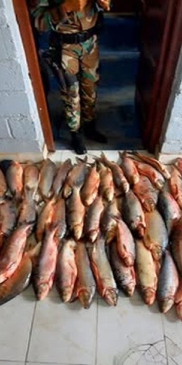 Infraccionaron a un hombre por pesca furtiva