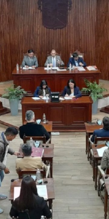 Temas de la sesión del Concejo Deliberante de la Ciudad