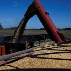 Agro: Gobierno elimina trámites duplicados