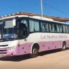 Suspenden a la empresa Nueva Alianza