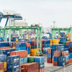 Las exportaciones incrementaron un 30%