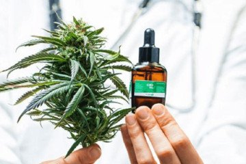 Salta debatirá sobre Cannabis medicinal
