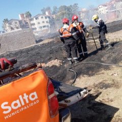 Sancionaron a los responsables de un incendio de pastizales en zona sur