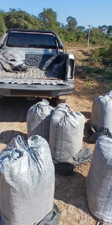 Incautaron 160 kilos de hojas de coca en Orán 