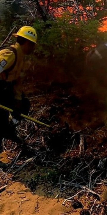Más de 200 hectáreas devastadas por el fuego en Cafayate
