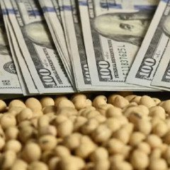 Agro pierde peso en las exportaciones