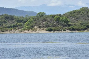 Desmienten la presencia de yacarés en el Cabra Corral