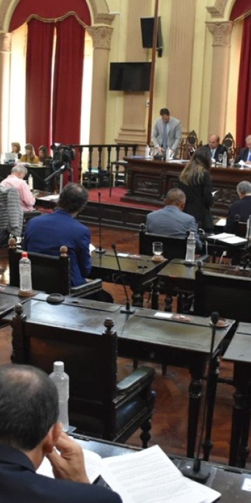 Solicitan suspender la desregulación del ingreso de bananas importadas 