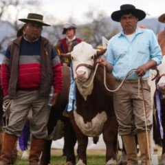 La Expo Rural cerró con 19 mil cabezas vendidas