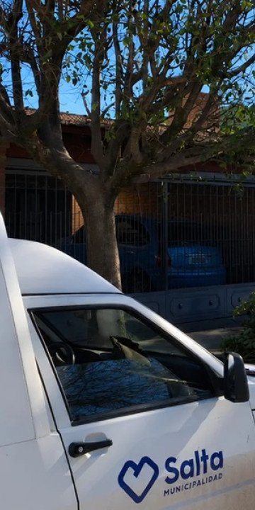 Intensifican los controles por podas no autorizadas