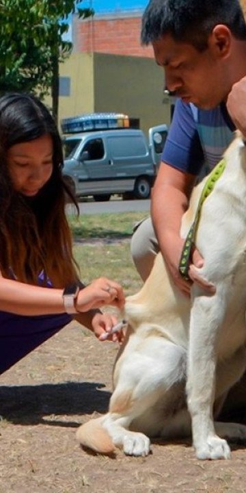 Cronograma de vacunación antirrábica en los barrios