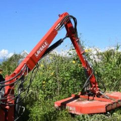 Desmalezamiento en Ampliación El Bosque