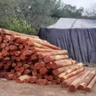 El Quebrachal: rescate a personas víctimas de explotación