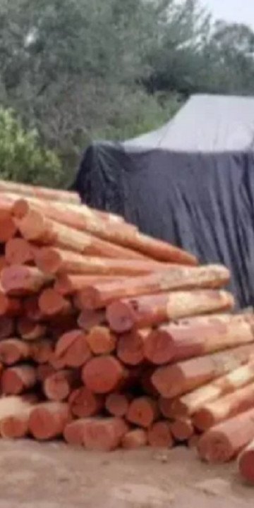 El Quebrachal: rescate a personas víctimas de explotación