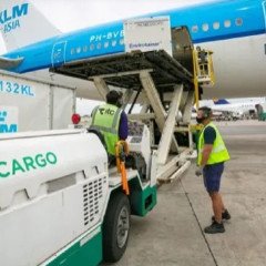 Rechazan la privatización de Intercargo