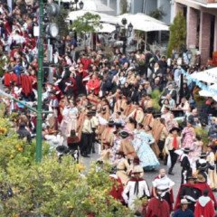 Multitudinaria convocatoria en las celebraciones del 25 de Mayo en Salta