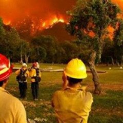 Proponen incorporar el Ecocidio al Código Penal