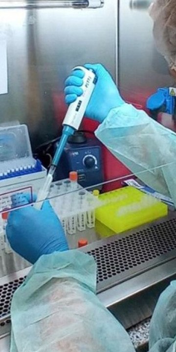 Salta registra 413 casos confirmados de chikungunya