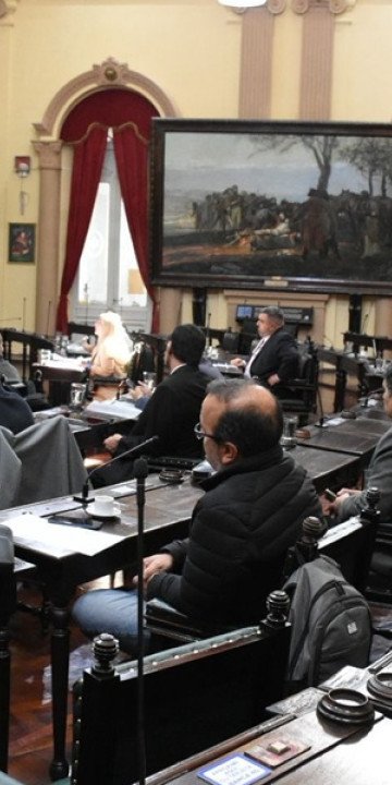 Plenario en el Senado con Legisladores nacionales