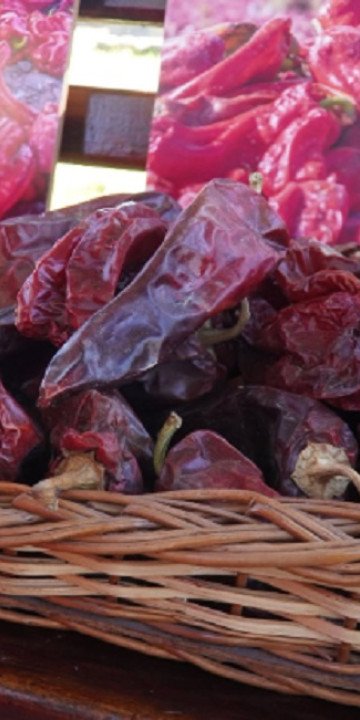 Fiesta Provincial del Pimiento en Payogasta