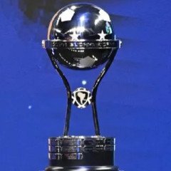 Sortearon los grupos de la Sudamericana