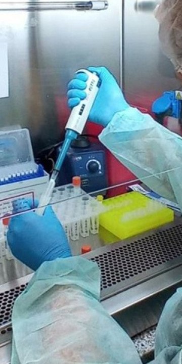 Incorporan test rápidos para la detección de Chikungunya